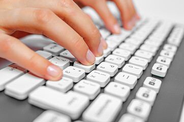 Female hands are typing on a computer or laptop keyboard. Close-up.