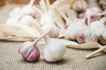 Bulbs  of natural organic  garlic on  linen matting. Natural antiseptic and antibiotic.