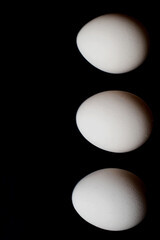 Three white organic eggs in a row on dark blue background.