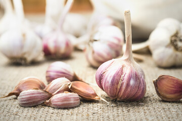 Bulbs and cloves of natural organic garlic on linen matting. Natural antiseptic and antibiotic.