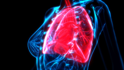 Fototapeta na wymiar lungs problems on xray scan, healthcare 3d illustration