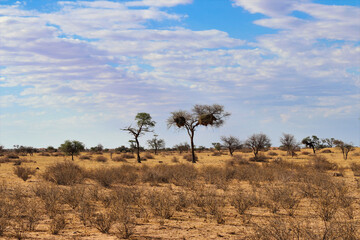 Plakat beautiful landscape view in Namibia – Africa