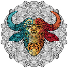 Buffalo. Patterned bull head in the zentangle style of a white background passing with colorful gradient. Tribal ornament painted by hand. Series ethnic animals. African, Indian. Ornament.  Vector.
