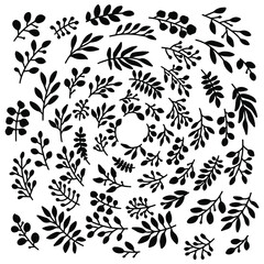 Set of hand drawn vector floral elements. Black leaves isolated on white background for invitations, greeting cards, blogs, web, wedding decor, posters.