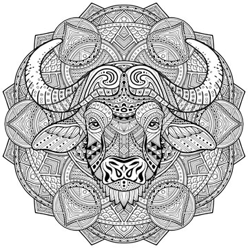 Buffalo. Bull. Bison. Coloring is hand-drawn in the style of Zentangle, Doodle. Full face illustration animal head black lines on white background. Ethnic ornaments Indian, Mexican. Vector background