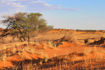 beautiful landscape view in Namibia – Africa