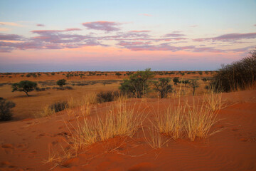 beautiful landscape view in Namibia – Africa