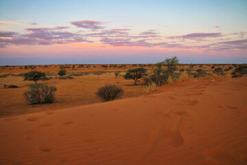 beautiful landscape view in Namibia – Africa
