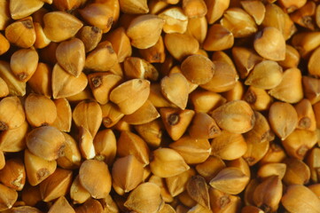 Culinary background - buckwheat groats motif. Natural healthy meal. Groats in high magnification. Brown background with a portion of buckwheat groats in high magnification.