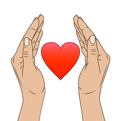 female hands protect the heart. Vector stock illustration eps10. 
