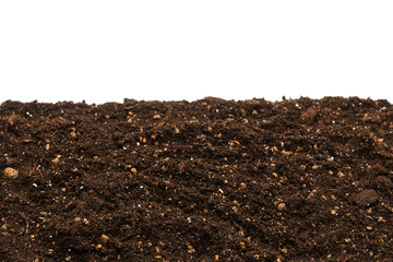 Black land for plant.