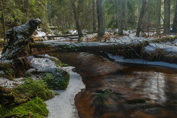 Svetla creek in winter snowy cold morning with sunshine light