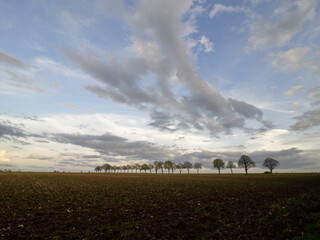 Freshly plowed field, field with clods