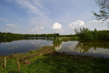 Fototapeta premium Seascape with green meadow and trees, blue sky, Guesenhofsee near Paderborn