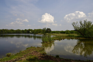 Seascape with green meadow and trees, blue sky, Guesenhofsee near Paderborn