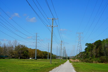 The winter landscape in Florida