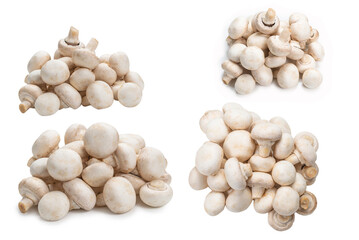 Champignon mushroom isolated on white background.