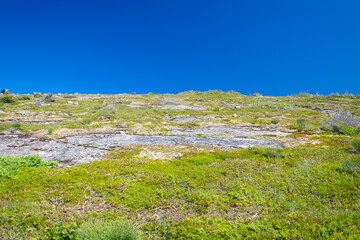 Fototapeta na wymiar An upward view of a bright blue sky. There's a rocky vibrant green colour hill covered in green shrubs, moss and lichen coverings. The mountain ridge is rough terrain with green ground coverings. 