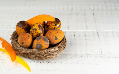 Easter quail eggs in a nest decorated with feathers on a white wooden table. Easter holiday concept. Close up, copy space