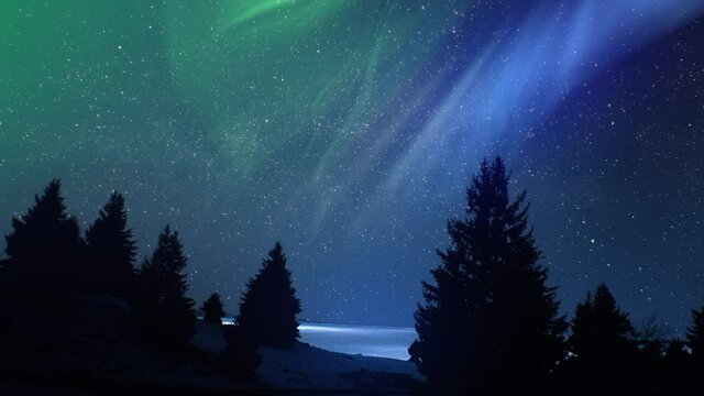 Realistic real time Northern lights Polar Aurora Borealis dancing over trees in a forest. Arctic colour skies in horizon. Cloudless night