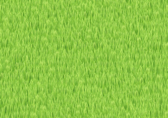 Green Grass Field Spring Texture Background Vector