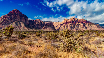 red rock canyon national conservation area