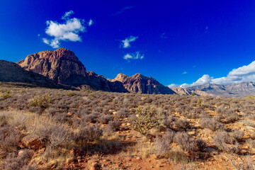 red rock canyon national conservation area