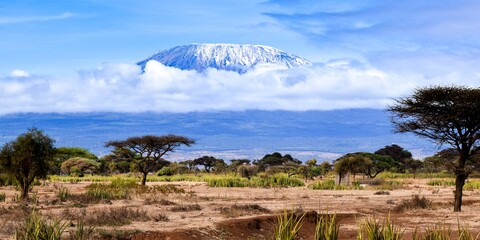 landscape with kilimandjaro mount - obrazy, fototapety, plakaty