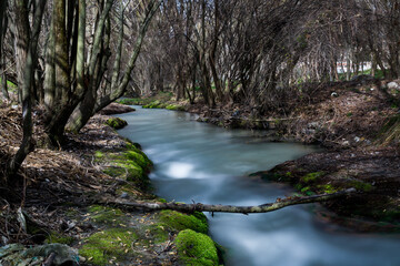 landscape of trees and river with silk effect water