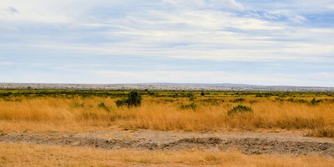Obraz premium landscape of kenya from the road