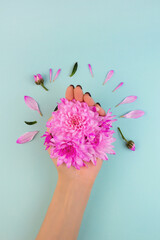 Young woman hand hold pink flowers on turquoise, blue background. Beautiful florist composition. Minimal flat lay spa concept