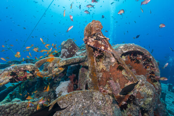 SS Thistlegorm military ship wreck underwater