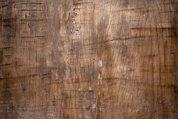 wood texture	