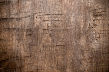 wood texture	