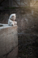 Lonely Teddy outdoors. Suicide among teenager. Child abuse. Mental health of adolescents and...