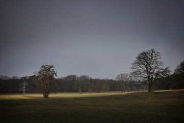 Beam of sunlight in landscape. Uffelter binenveen. Drenthe Netherlands.