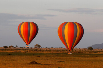 Fototapeta premium Hot air balloon safari at the Masai Mara in the morning. Masai Mara National Park. Kenya. 04.10.2010