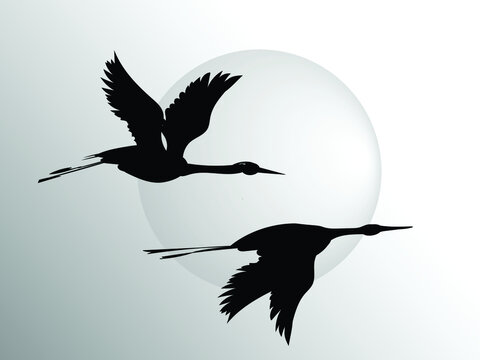 Two flying herons against the background of a large solar circle. Vector drawing. 