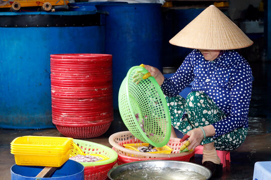 Close-up Of Woman Peeling Garlic At Local Food Market.  Vung Tau. Vietnam.  11.08.2017