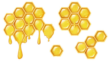 Illustration of honeycombs on a white background. Elements of honey for decoration and design.A natural product for a healthy diet