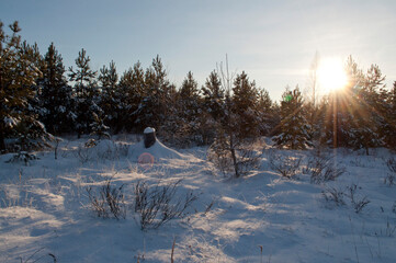 Fototapeta premium winter landscape in a winter forest with sun rays