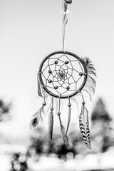 Dreamcatcher made with different feathers and strings