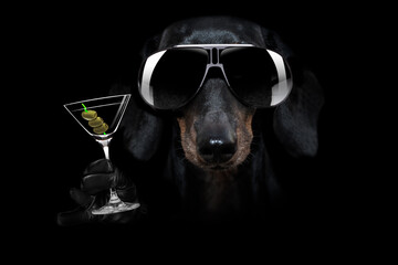 martini cocktail dog in dark black mood