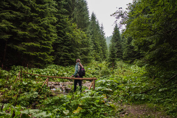 Hiker on a bridge in forest looking at trees and crossing a stream