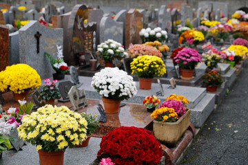 Fototapeta na wymiar All Saints' Day at a cemetery. Flowers placed to honor deceased relatives. France. 01.11.2018