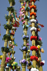 Fototapeta premium palmy i ozdoby świąteczne na konkursie w Lipnicy Murowanej