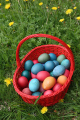 Colorful easter eggs in a basket.  France.  22.03.2018