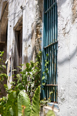 Blue metal bars on the window in Stone Town Zanzibar. White wall of a building in the old city. Bright sun at noon. 