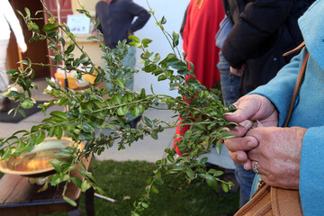 Holy week. Palm sunday celebration.  Saint Nicolas de Veroce. France.  22.03.2018