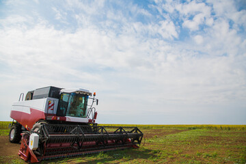 Fototapeta premium Combine harvester ready for harvest